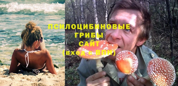 ПСИЛОЦИБИНОВЫЕ ГРИБЫ Алексин